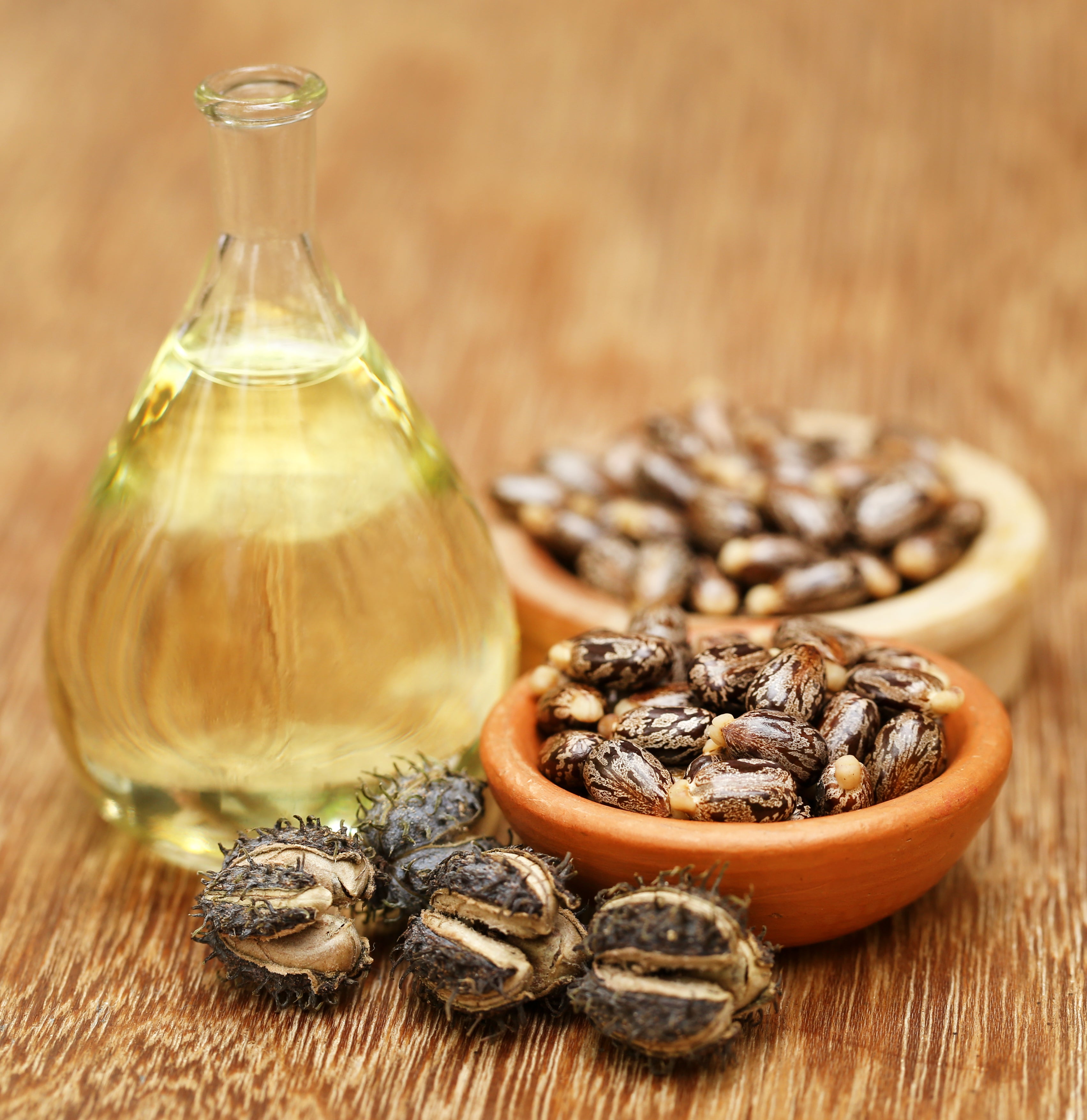 Castor Seed Oil